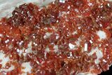 Ruby Red Vanadinite Crystals on Pink Barite - Morocco #82370-1